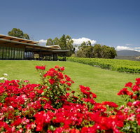 Balgownie Estate Vineyard Resort  Spa - Accommodation Mount Tamborine