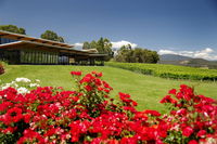Book Yarra Glen Accommodation Vacations Accommodation Mount Tamborine Accommodation Mount Tamborine