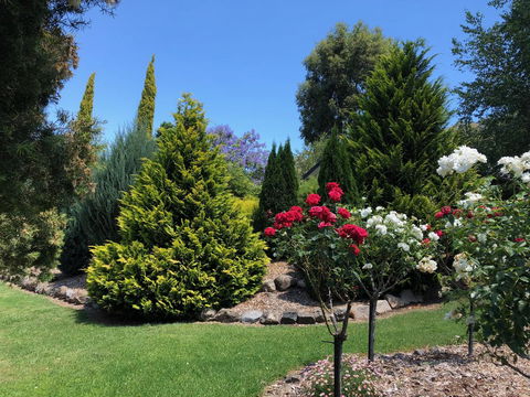 Valley View Lodge - Accommodation Mount Tamborine 20