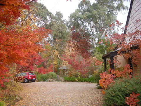 Merrimeet Cottages - Accommodation Mount Tamborine 5