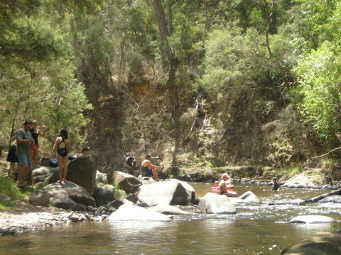 Merrimeet Cottages - Accommodation Mount Tamborine 15