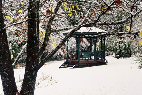 Merrimeet Cottages - Accommodation Mount Tamborine 1