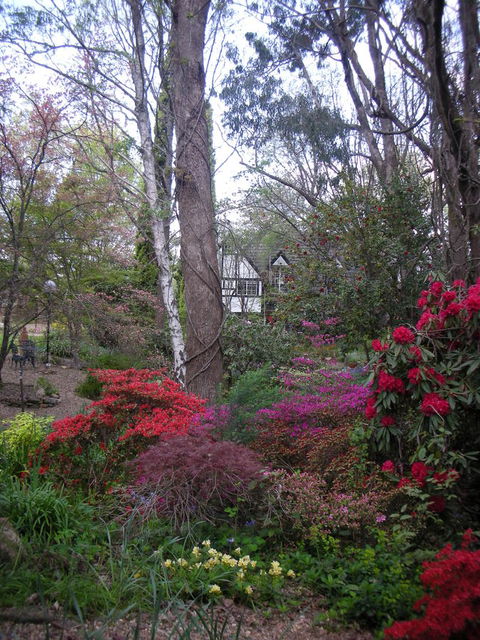 Merrimeet Cottages - Accommodation Mount Tamborine 21