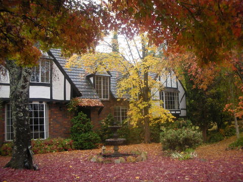 Merrimeet Cottages - Accommodation Mount Tamborine 0