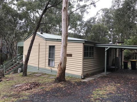 Day Dream Cottage - Accommodation Mount Tamborine 23
