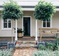 Acre of Roses - Accommodation Mount Tamborine