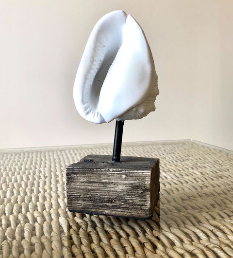 Sea Shells On Banyan Apartment - Accommodation Mount Tamborine 9