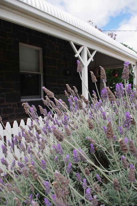 Little River Bed And Breakfast - Accommodation Mount Tamborine 30