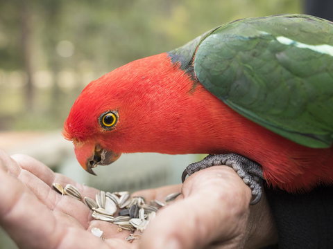 Gipsy Point Lodge & Cottages - Accommodation Mount Tamborine 17