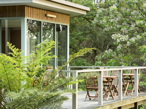 Gipsy Point Lodge & Cottages - Accommodation Mount Tamborine 29