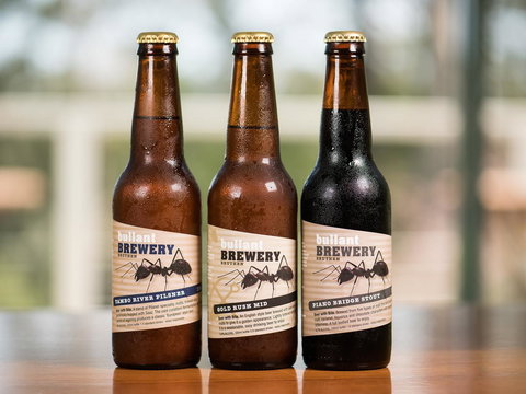 Gipsy Point Lodge & Cottages - Accommodation Mount Tamborine 37