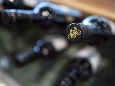 Gipsy Point Lodge & Cottages - Accommodation Mount Tamborine 19