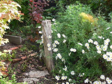 Fairbank House - Accommodation Mount Tamborine 26