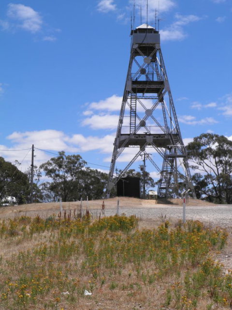 Fairbank House - Accommodation Mount Tamborine 32