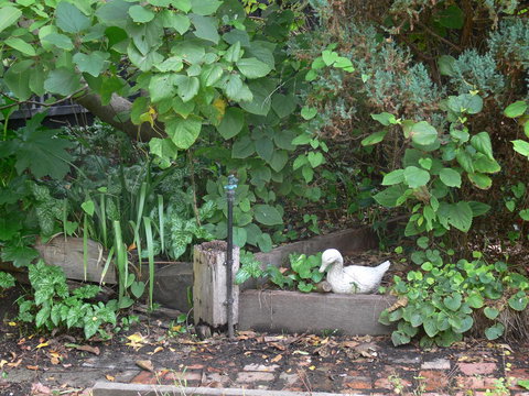Fairbank House - Accommodation Mount Tamborine 24