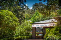 Book Eltham Accommodation Vacations Accommodation Mount Tamborine Accommodation Mount Tamborine