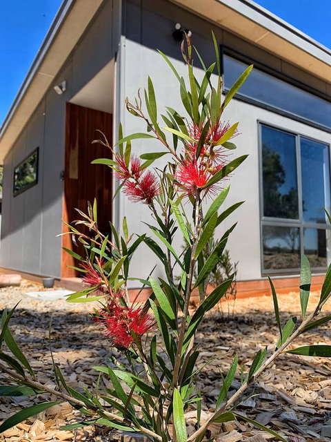 By Moonlight - Accommodation Mount Tamborine 4