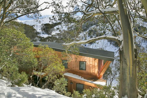 Maisonettes Falls Creek - Accommodation Mount Tamborine 12