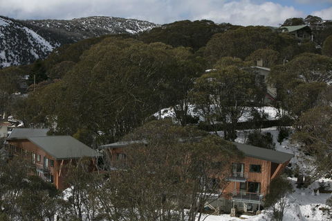 Maisonettes Falls Creek - Accommodation Mount Tamborine 14