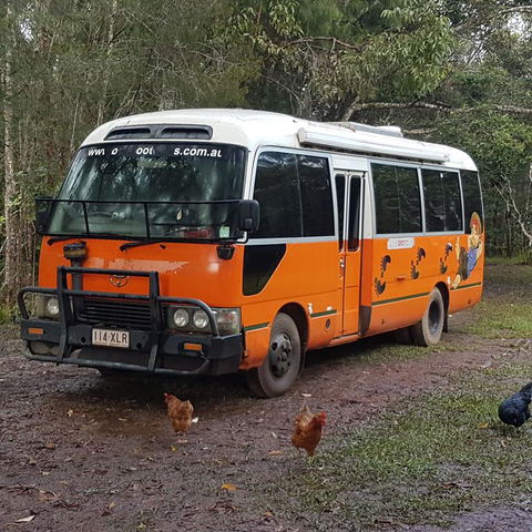 The Cabin - Accommodation Mount Tamborine 3