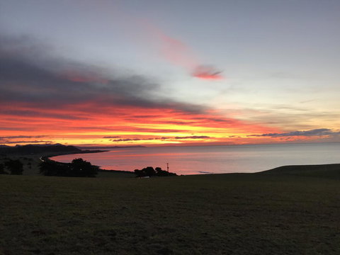 The Cove Tasmania - Accommodation Mount Tamborine 1