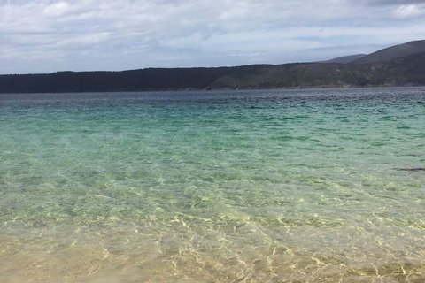 The Cove... On The Rocks At Port Arthur - Accommodation Mount Tamborine 1