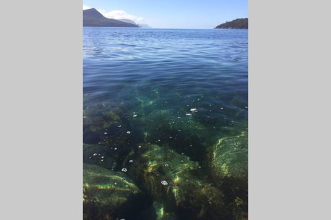 The Cove... On The Rocks At Port Arthur - Accommodation Mount Tamborine 3