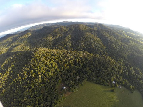 The Jungle Stays - Accommodation Mount Tamborine 1