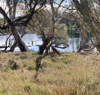 The Lake House - Accommodation Mount Tamborine