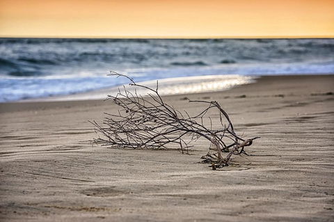 The Lakes Beachfront Holiday Park - Accommodation Mount Tamborine 2