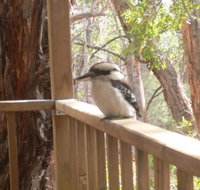 The Ledge Holiday House - Accommodation Mount Tamborine