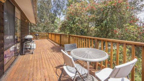 Tingira Drive 71 Bawley Point NSW - Accommodation Mount Tamborine 2