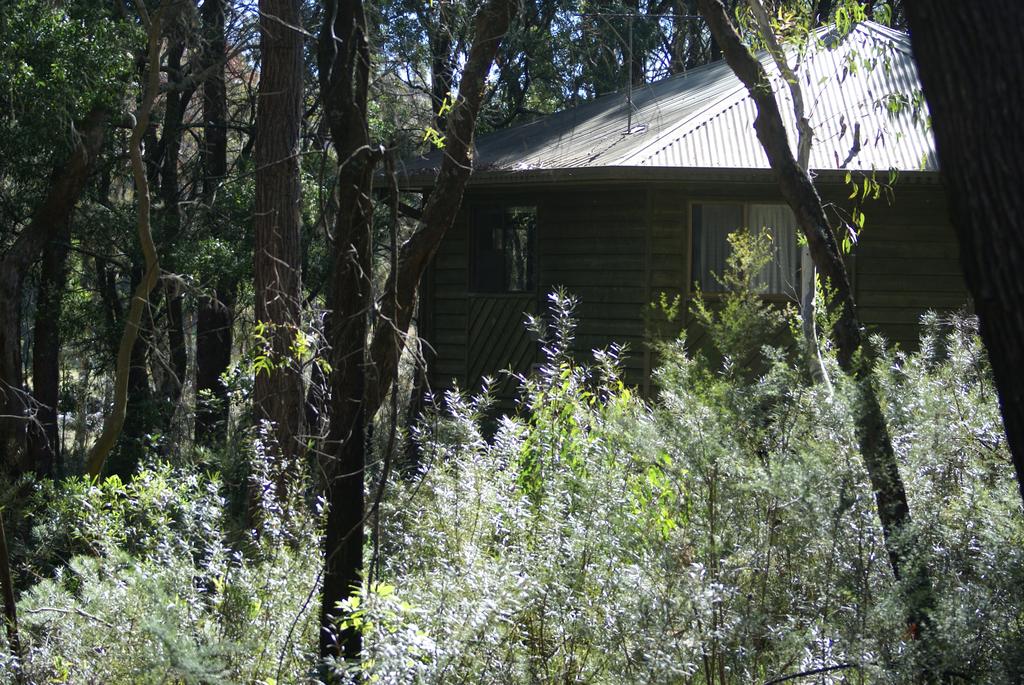 Fitzroy Falls NSW Accommodation Mount Tamborine