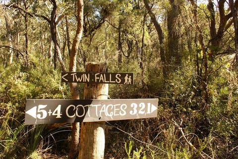 Twin Falls Bush Cottages - Accommodation Mount Tamborine 3