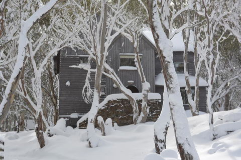 Tyee - Accommodation Mount Tamborine 0
