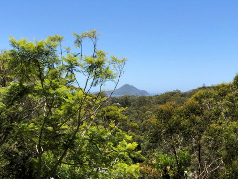 Ullora Road 38 - Accommodation Mount Tamborine 2