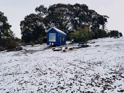 Walden Tiny House - Accommodation Mount Tamborine 2