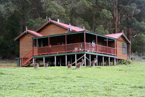 Walpole Wilderness Resort - Accommodation Mount Tamborine 1
