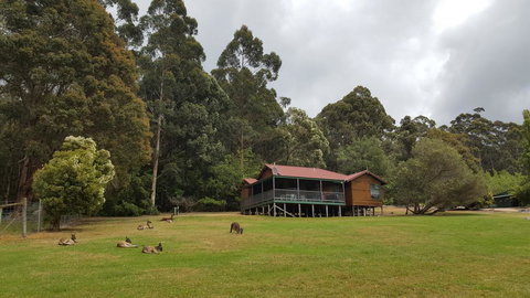 Walpole Wilderness Resort - Accommodation Mount Tamborine 0