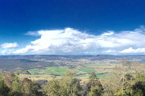 Wanjii II Pool & Spa Getaway - Accommodation Mount Tamborine 2