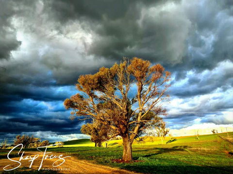 Wantana Cottage Farmstay - Accommodation Mount Tamborine 2