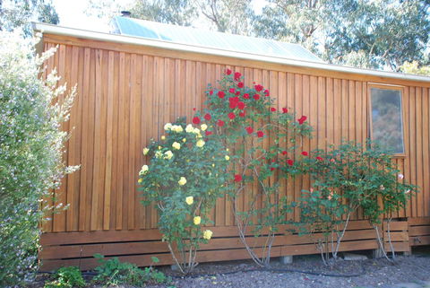 Bluegum Ridge Cottages - Accommodation Mount Tamborine 23