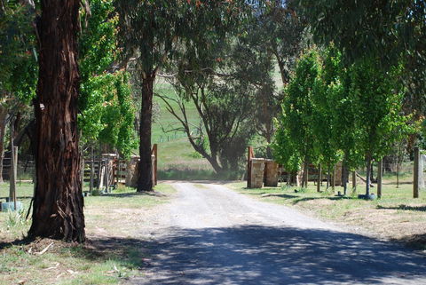 Bluegum Ridge Cottages - Accommodation Mount Tamborine 3