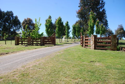 Bluegum Ridge Cottages - Accommodation Mount Tamborine 2