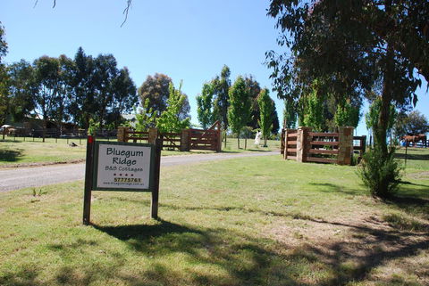 Bluegum Ridge Cottages - Accommodation Mount Tamborine 1