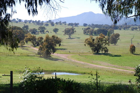 Bluegum Ridge Cottages - Accommodation Mount Tamborine 31