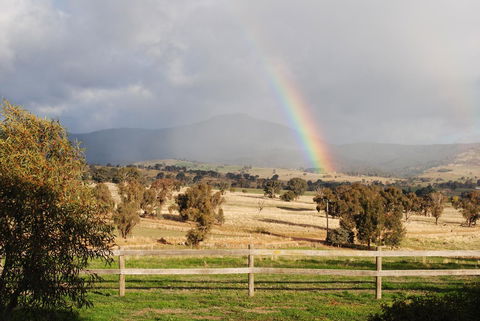 Bluegum Ridge Cottages - Accommodation Mount Tamborine 32