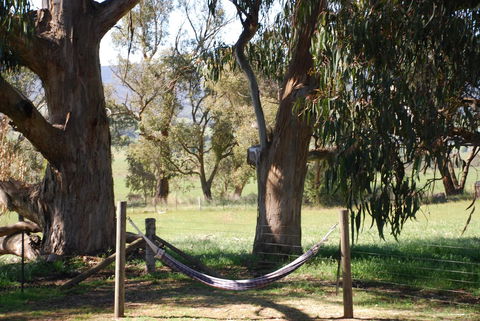 Bluegum Ridge Cottages - Accommodation Mount Tamborine 28