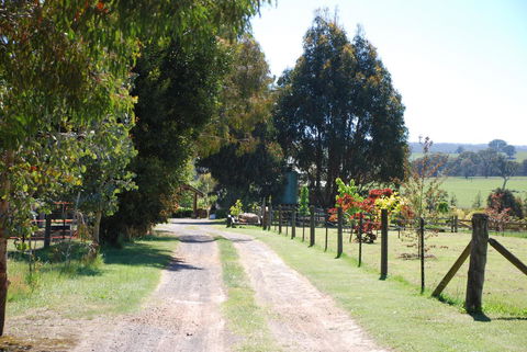 Bluegum Ridge Cottages - Accommodation Mount Tamborine 4