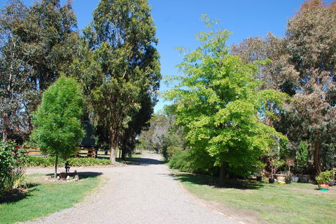 Bluegum Ridge Cottages - Accommodation Mount Tamborine 5